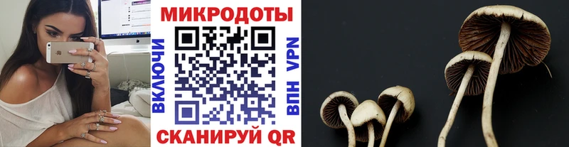 Галлюциногенные грибы ЛСД  Торопец 